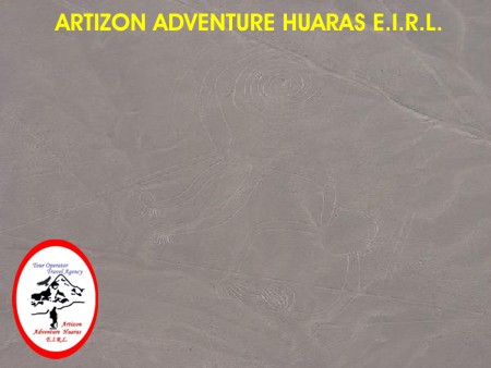 Mono - Lineas de nazca - Ica